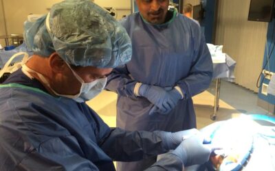 Faculty at a Cadaver lab for Pelvic Floor Repair and Incontinence in Miami Doral – Boston Scientific, June 20, 2014